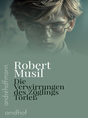 cover image of Die Verwirrungen des Zöglings Törleß
